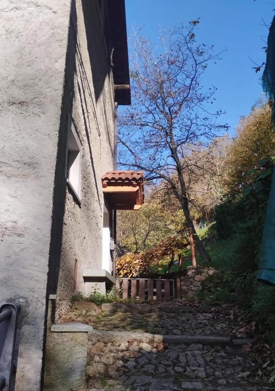 Alpaca'S House: Green, Animals & Lake View Bellano Buitenkant foto